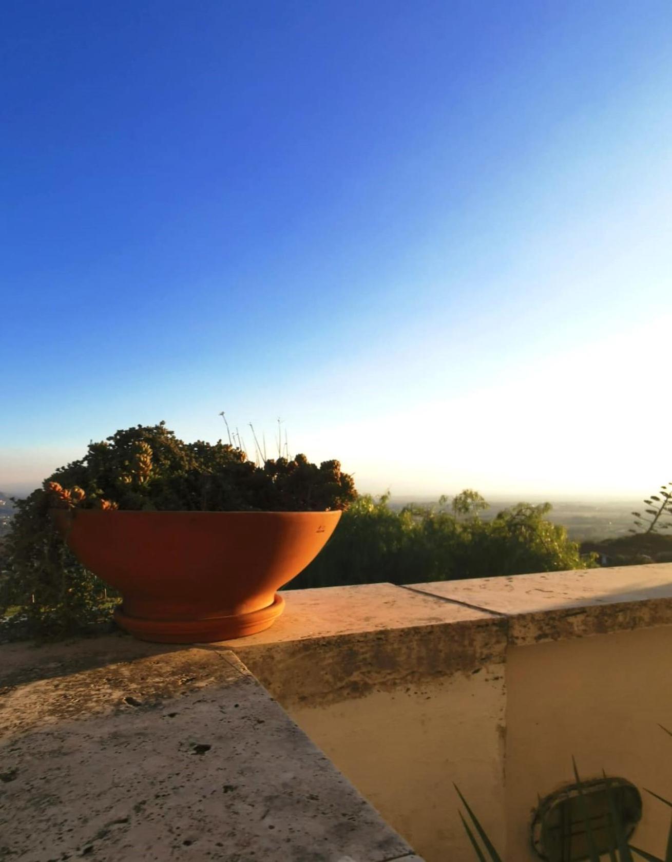 Villa Dei Romani - Country House Guidonia Montecelio Экстерьер фото