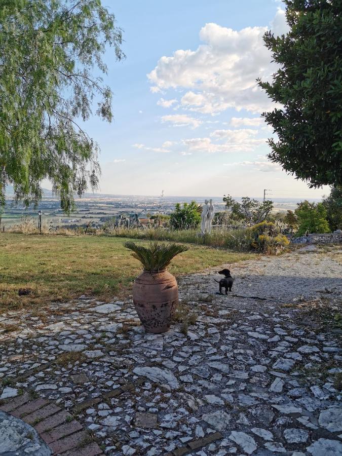 Villa Dei Romani - Country House Guidonia Montecelio Экстерьер фото